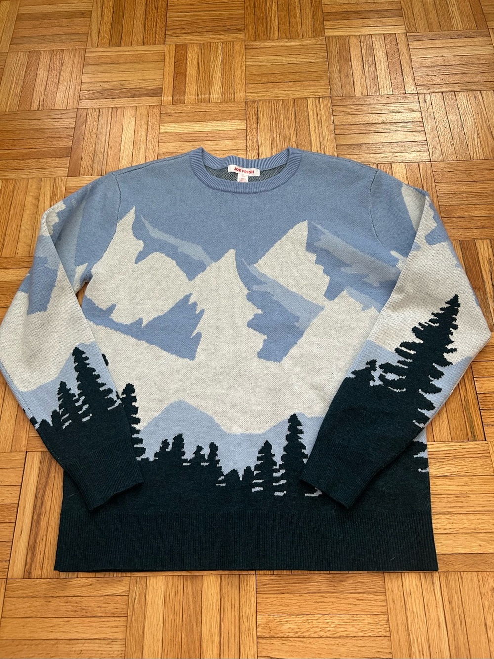 Joe Fresh Mountain & Forest Crewneck Sweater - Light Blue, Gray & Navy